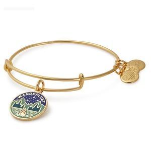 Alex and Ani Bangle